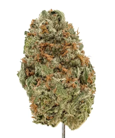 rainbow belts strain