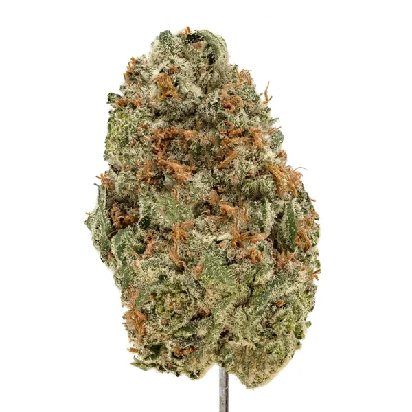 rainbow belts strain