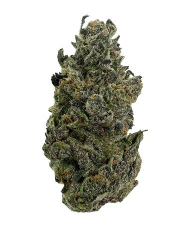 Rose Gold Runtz strain